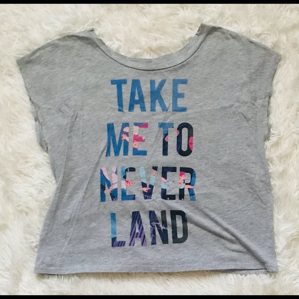 Disney peter pan, Neverland T-shirt. Size small, color gray with accent blues.